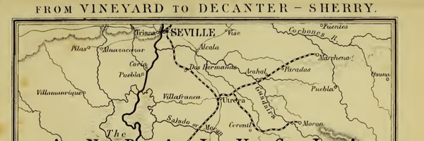 sapidez Profile Banner