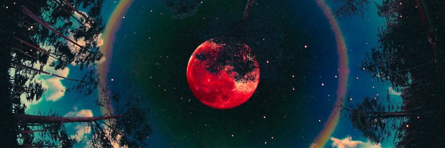 CryptomanNc's profile banner image