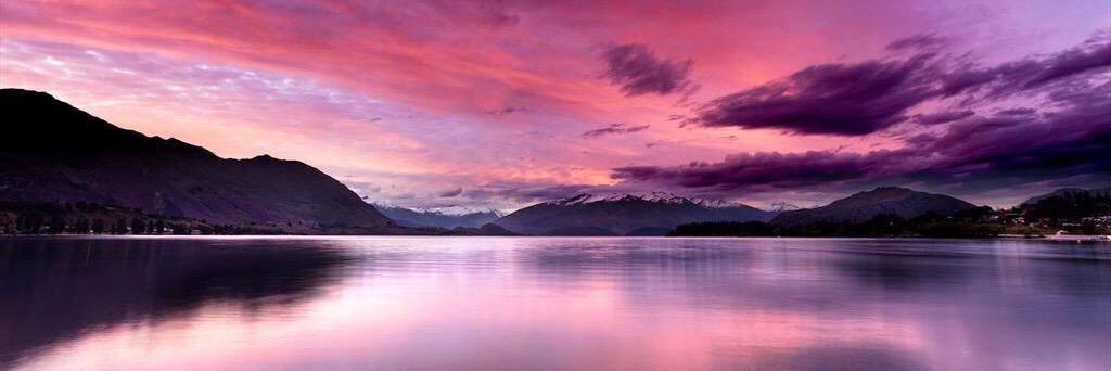 Love New Zealand banner