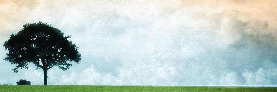 Auphrates's profile banner image
