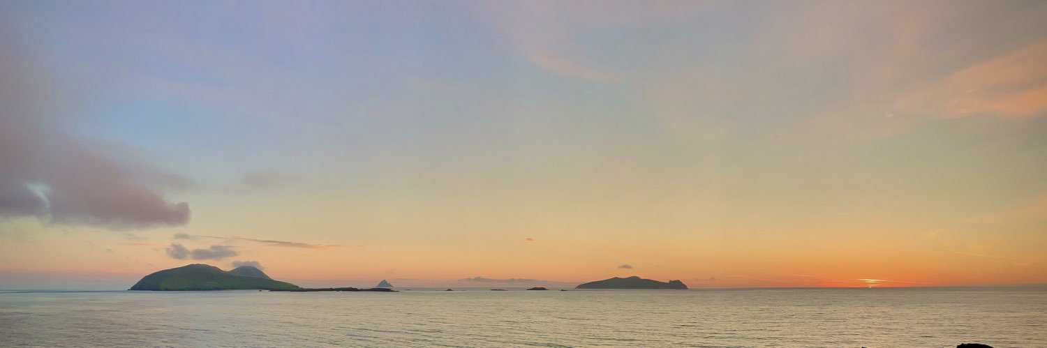 Richard Boyle banner