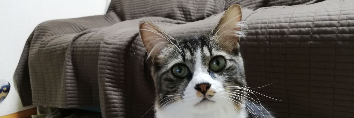 milkmome's profile banner image