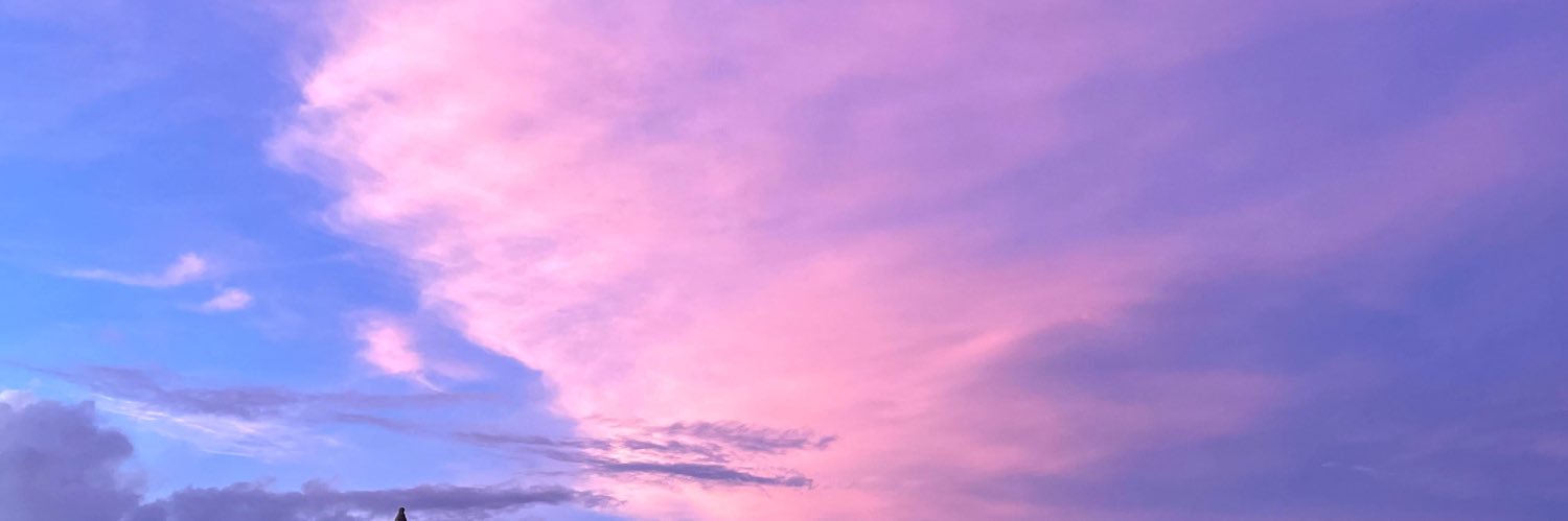alanwwu's profile banner image