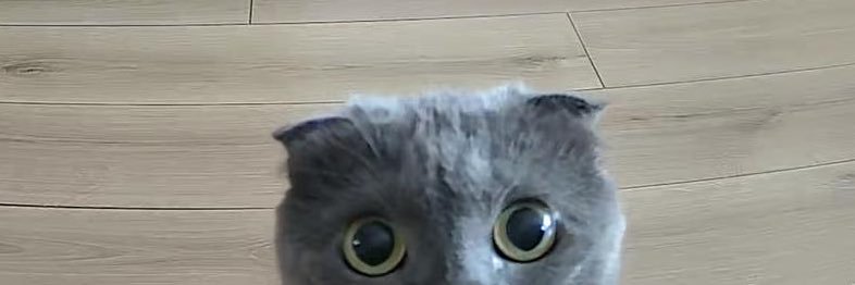 ulannil's profile banner image