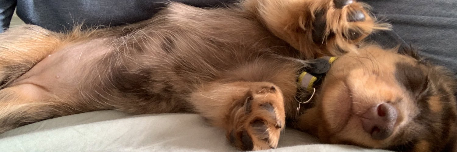 Blake Johnson banner