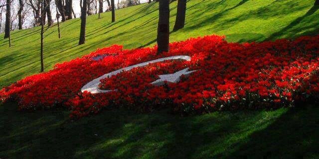 eser101's profile banner image
