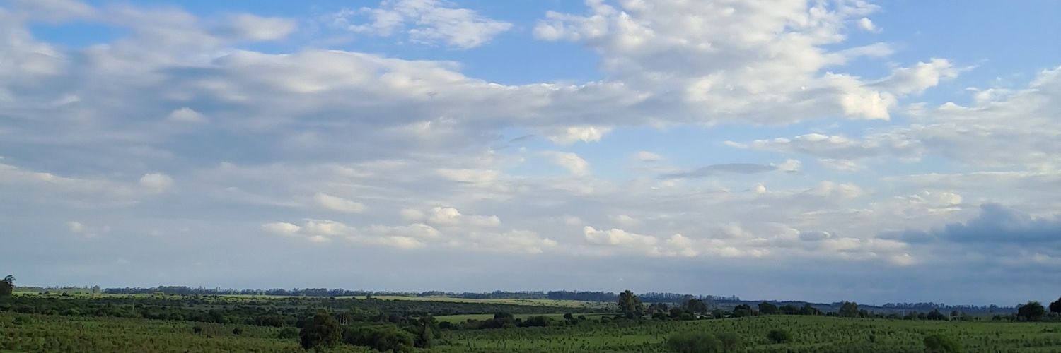 Ceciliadrc's profile banner image