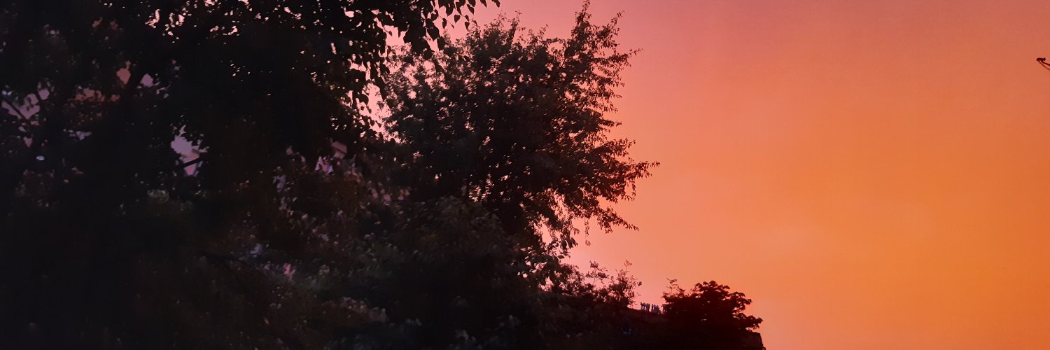 quietanddeadly's profile banner image
