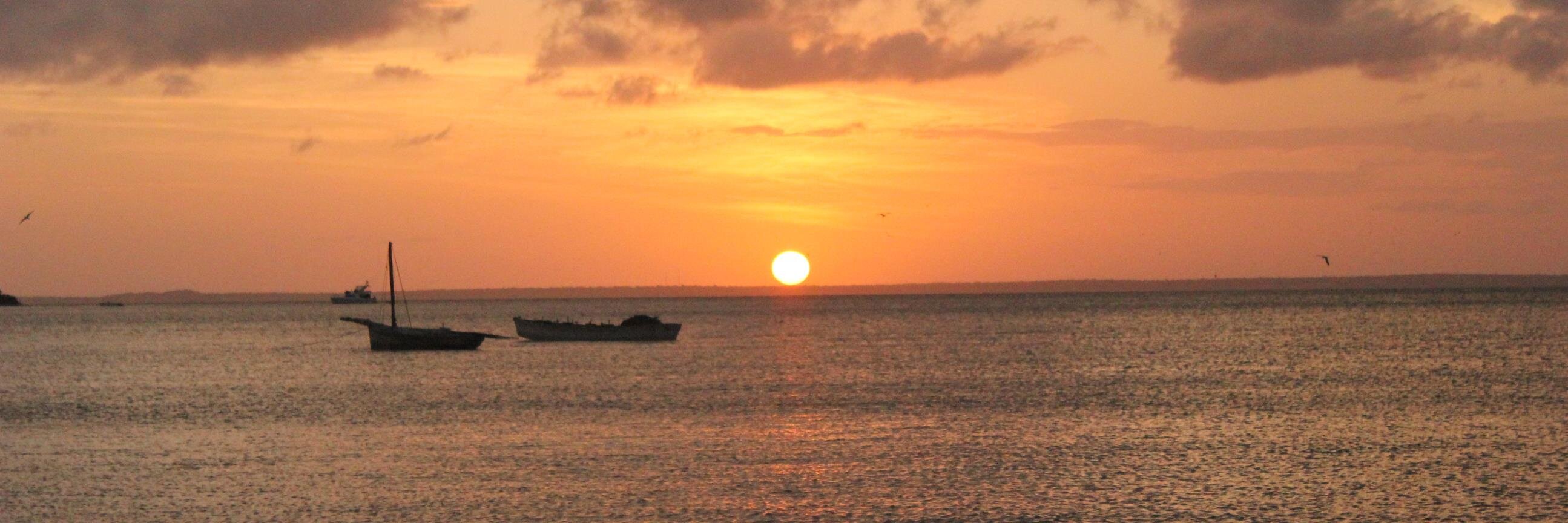 _ddiez's profile banner image