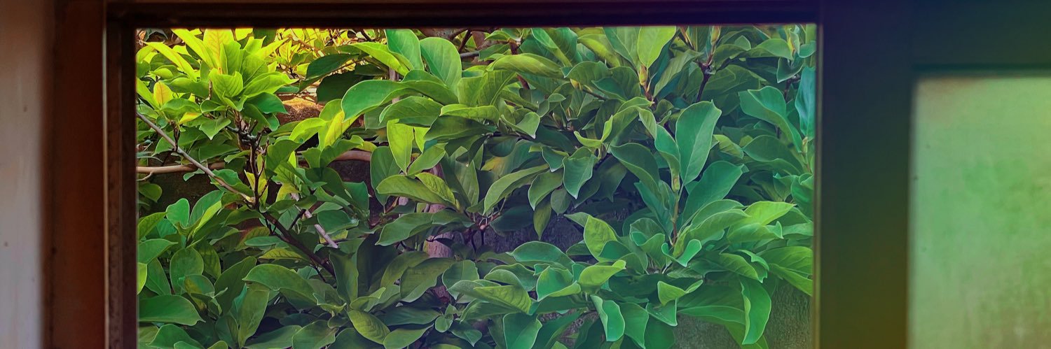 tanslau's profile banner image