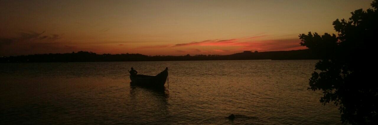 diego  espinosa. banner