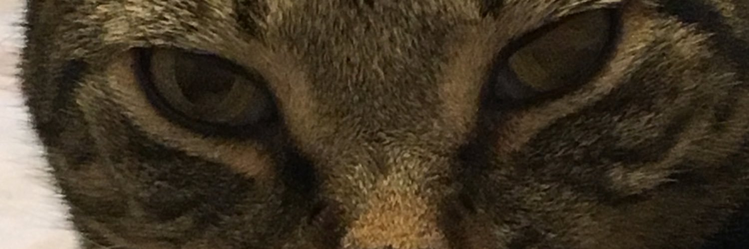 PowersSherri's profile banner image