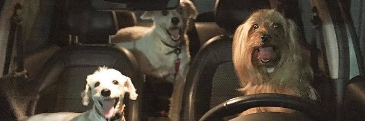 conci's profile banner image