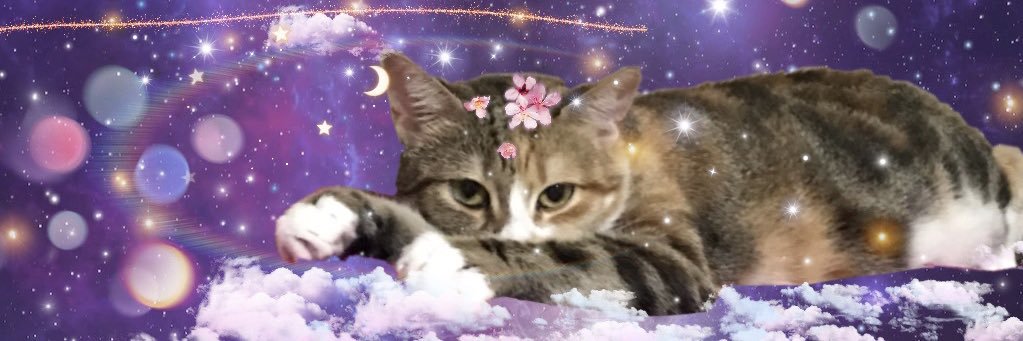bengisuueser's profile banner image
