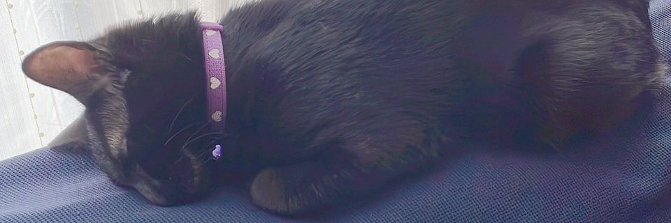 リョウヘイ banner