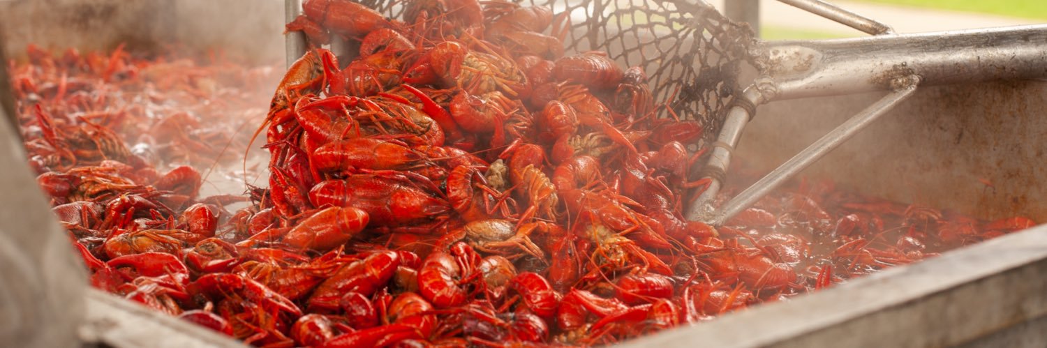 TulaneCrawfest's profile banner image