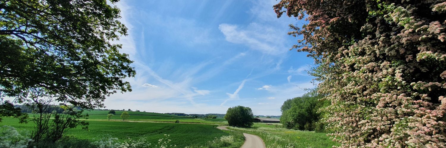 Brixworth & Brampton Country Parks banner