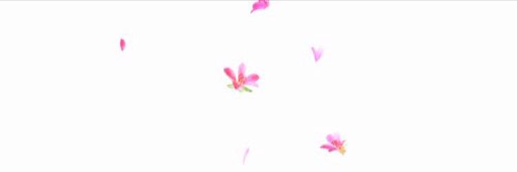 hano_pp's profile banner image