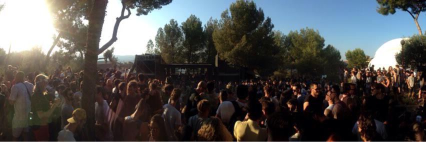 Pavs banner