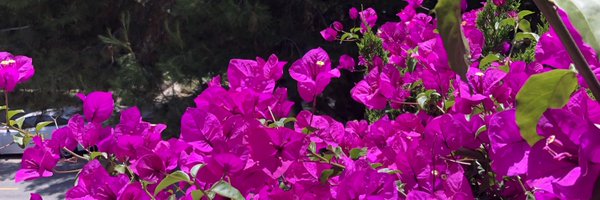 hopelikehell Profile Banner