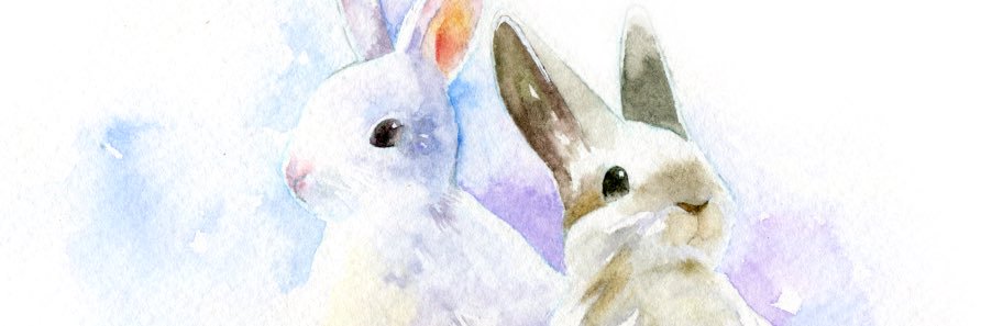 ずんこ banner