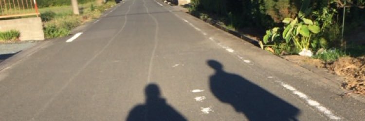 29chuuu's profile banner image