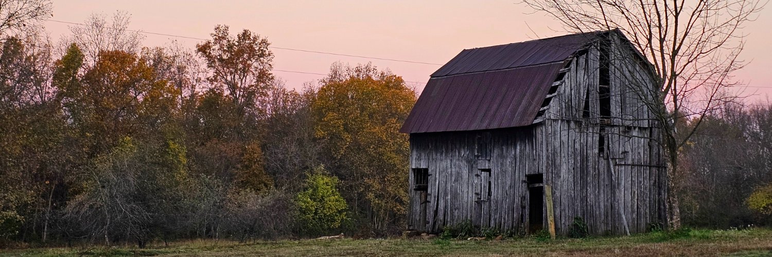 thestephlouisa's profile banner image