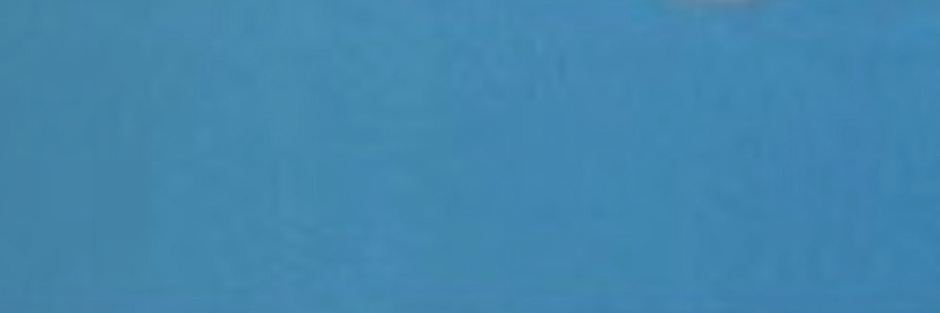 高のしま。🫸🐟🫷 banner