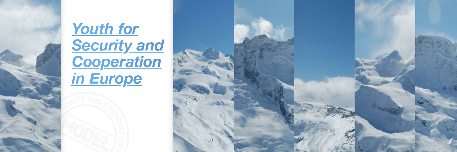 ModelOSCE's profile banner image