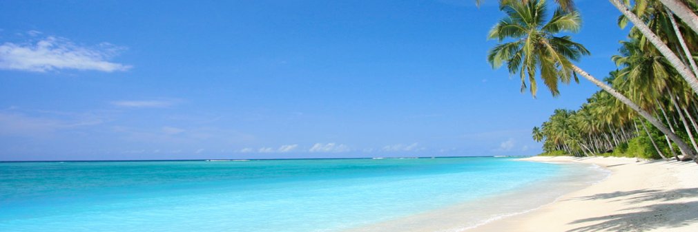 ManLikeRick's profile banner image