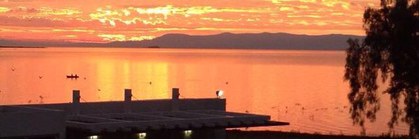 FBrizca Profile Banner