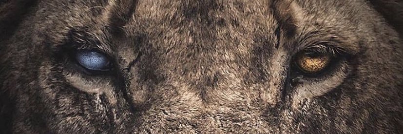 Shay_D_'s profile banner image