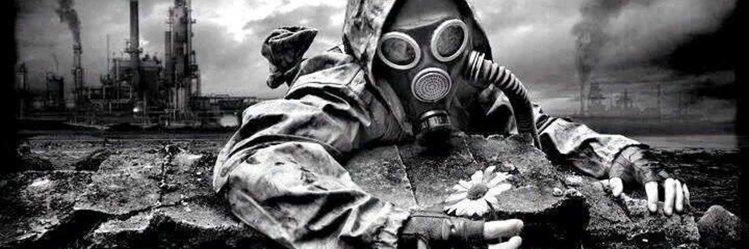 Leon del Desierto banner