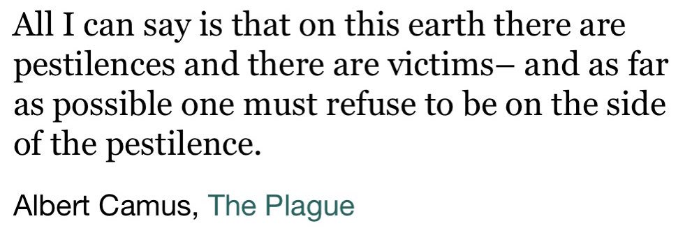 Rob™ (Franchised) banner