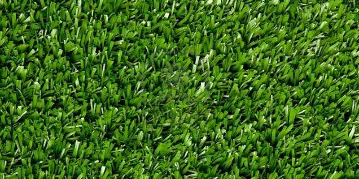 HoltonPanthers's profile banner image