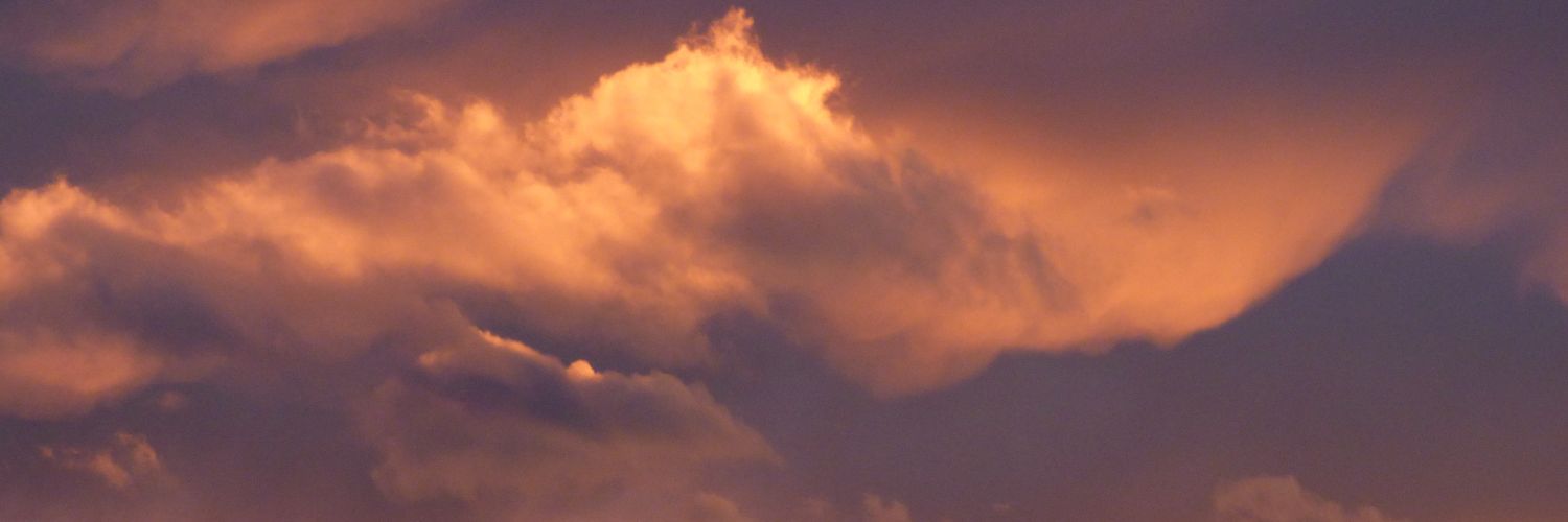 BluemoonJess's profile banner image