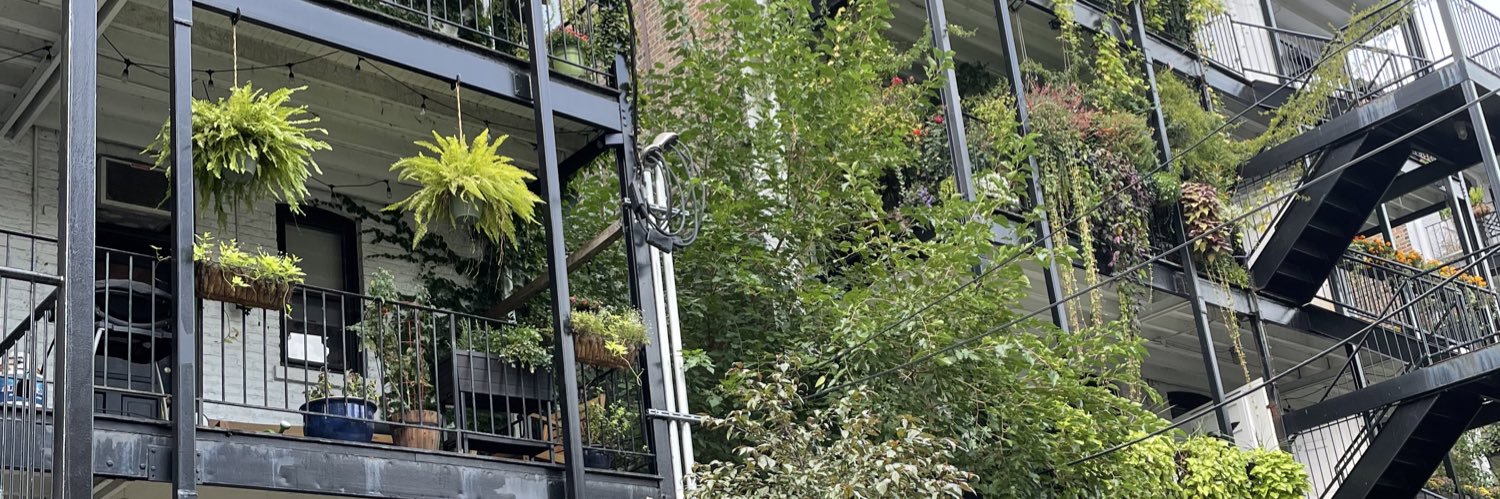 Alexandra Wolf banner