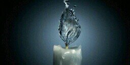 HRH King Julien banner