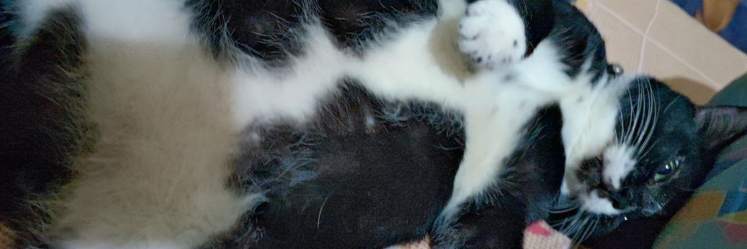 rexdevon7's profile banner image