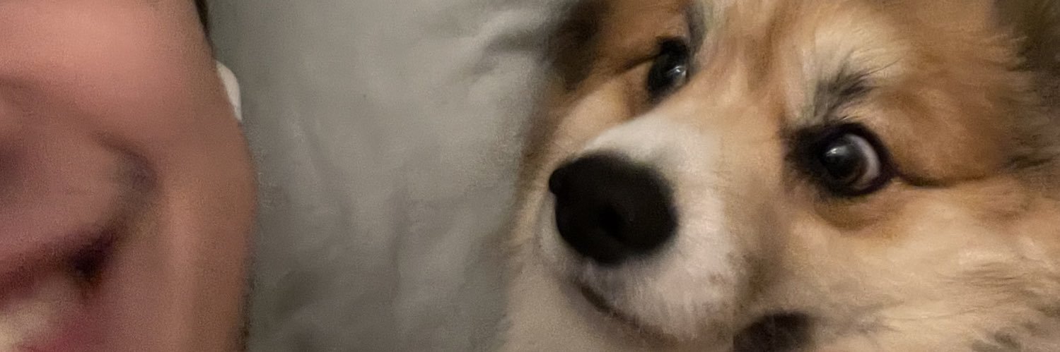 John_Cortinas's profile banner image