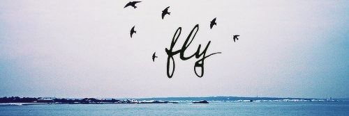 zaiinabb_s's profile banner image