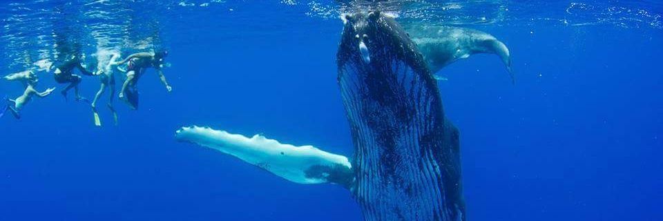 Linda Naomi 🤢⚠️💀🫁😵‍💫 banner