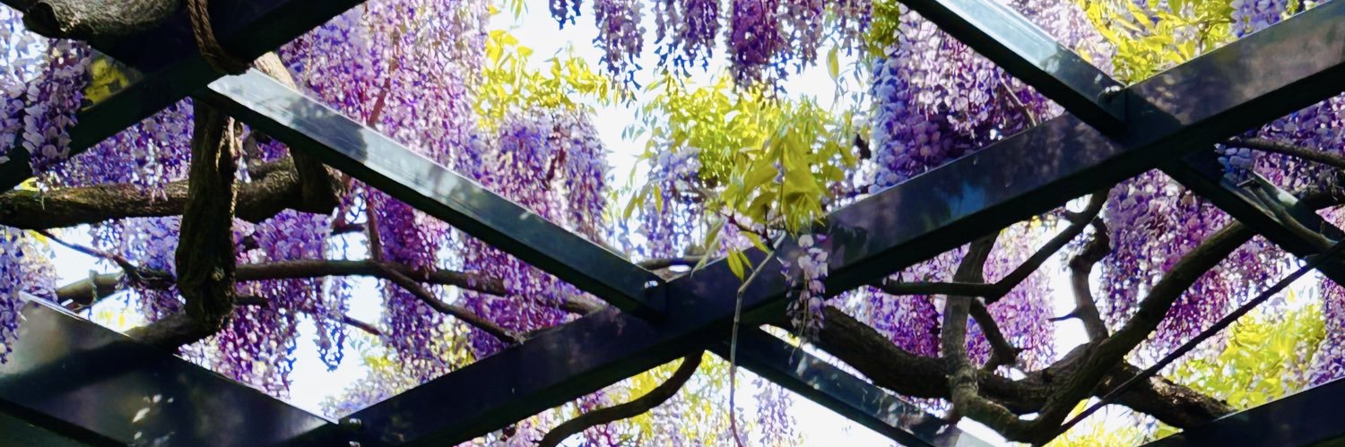 coo_of's profile banner image