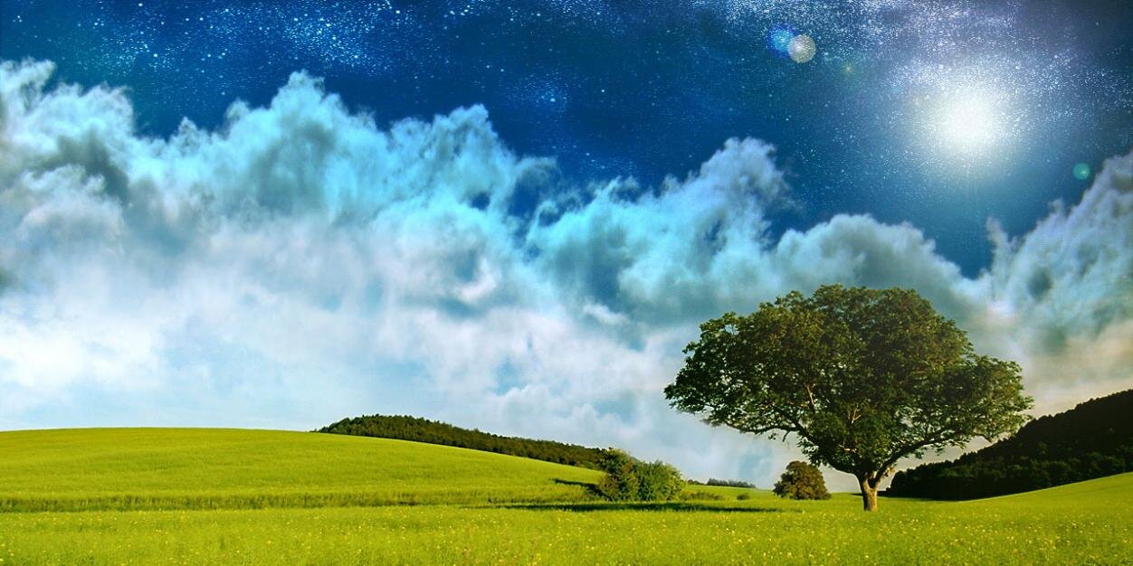 ErnestoPimente6's profile banner image