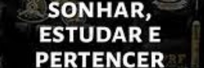 Papirante Romeo Fox banner