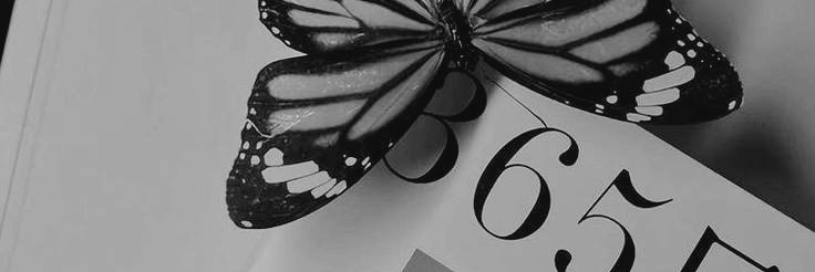 sofiaayrolo's profile banner image