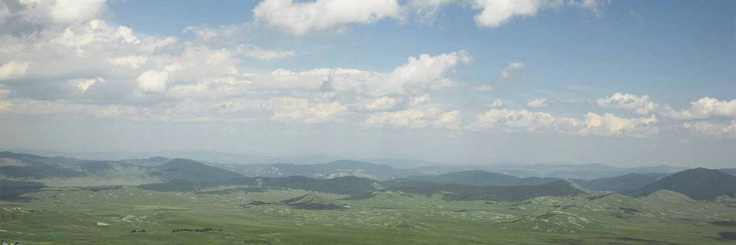 Tatiana Nerucheva banner