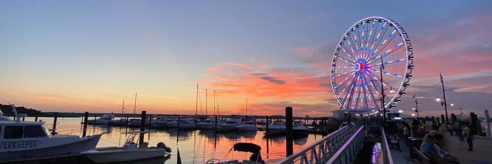 The Capital Wheel banner