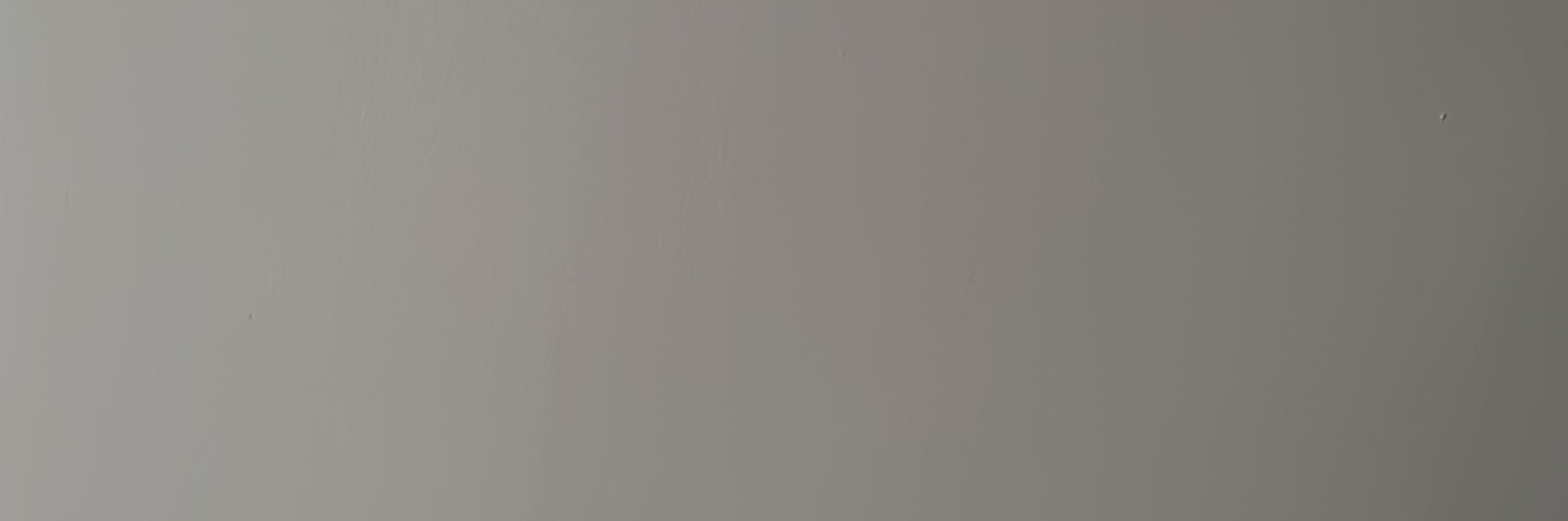 SaraParajuli's profile banner image