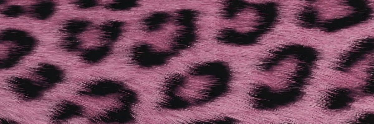 torbacikoala's profile banner image